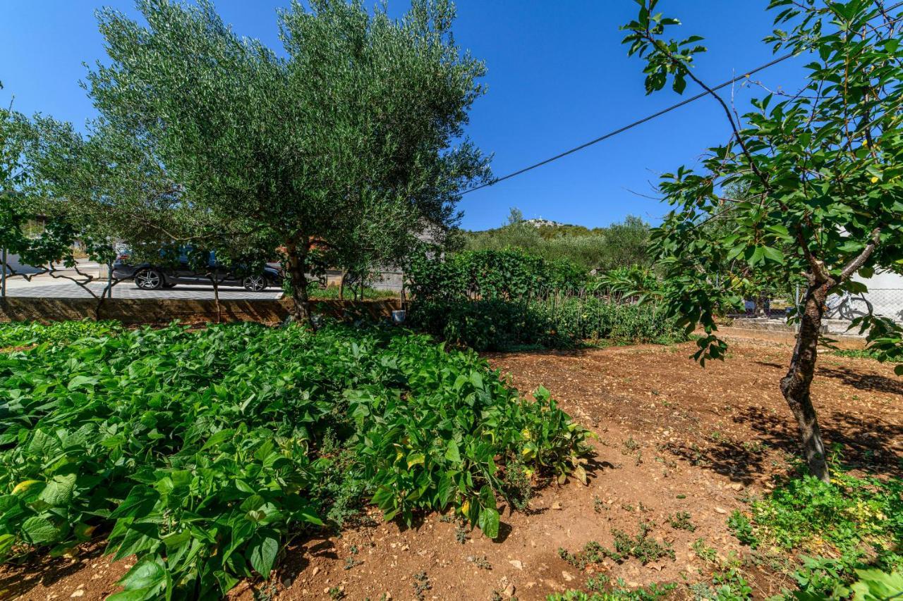 Apartmani Ante Šibenik Exterior foto